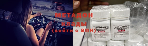 прущие грибы Алексеевка