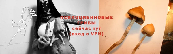 прущие грибы Алексеевка