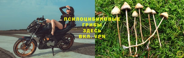 тгк Алзамай