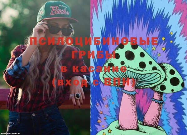 прущие грибы Алексеевка