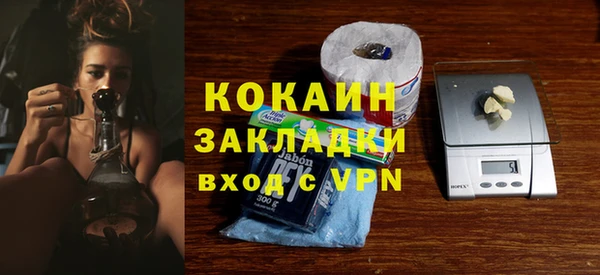 тгк Алзамай