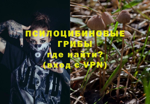 тгк Алзамай