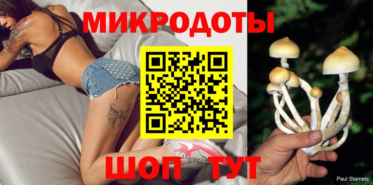 Галлюциногенные грибы мухоморы  Вход с VPN  Переславль-Залесский 